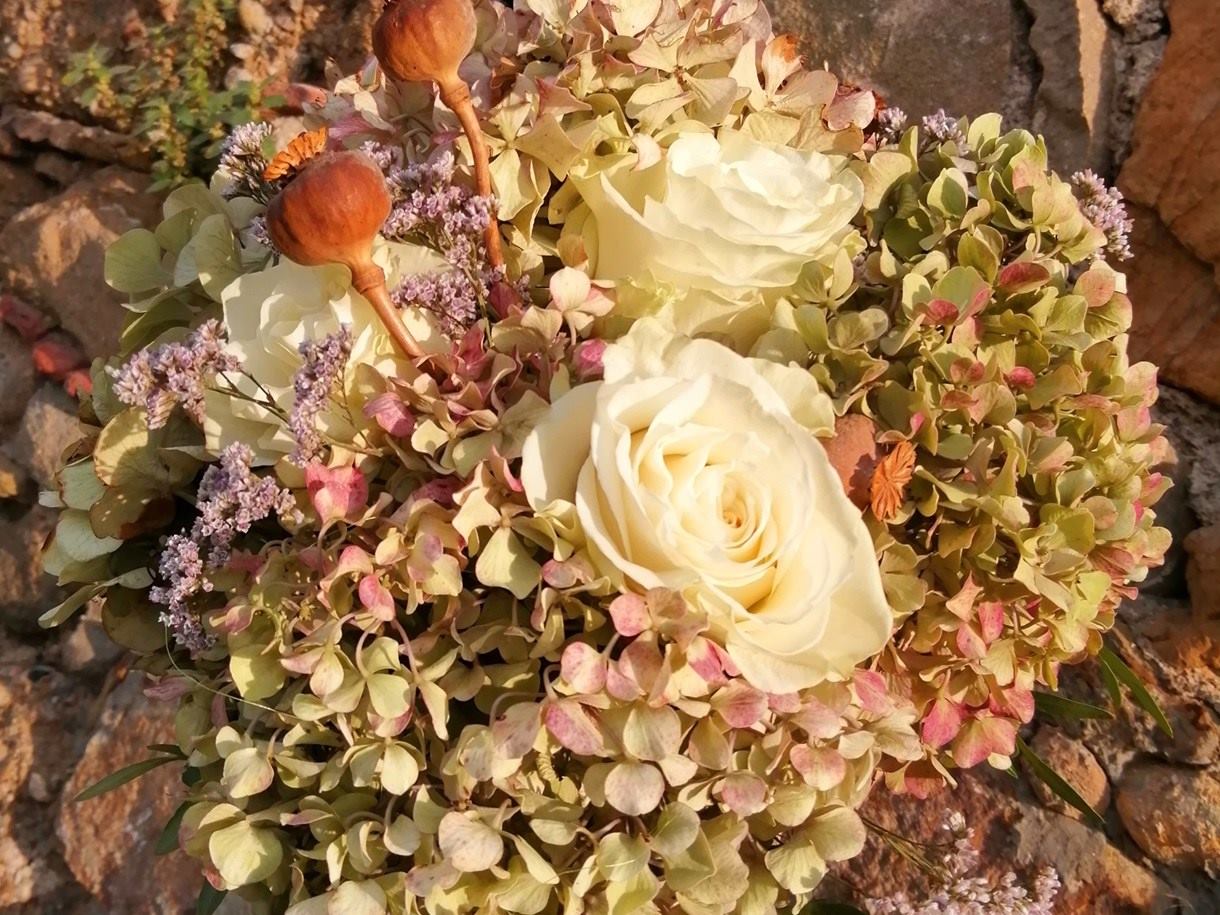 IMG_20201112_172658