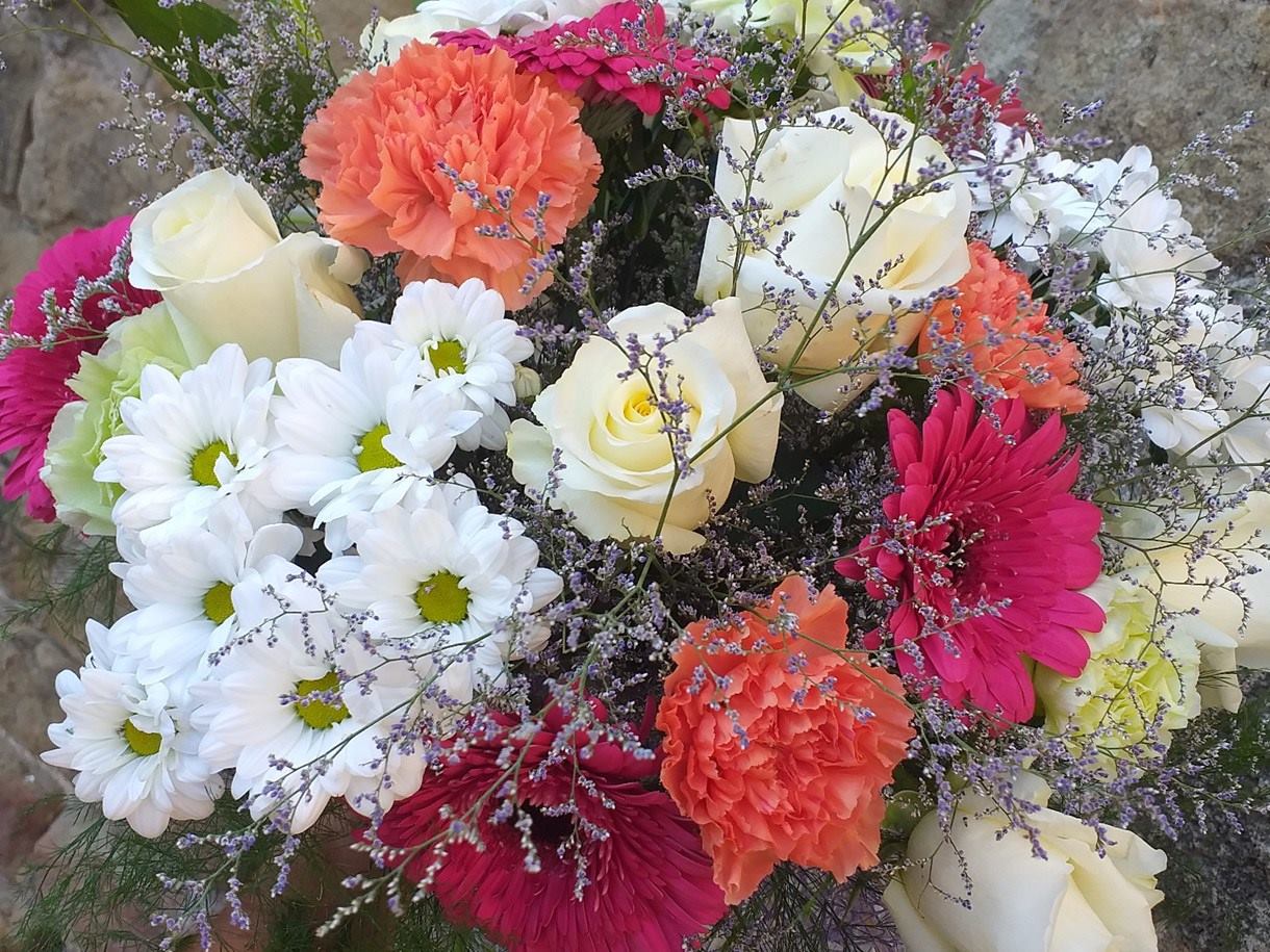 Luz Rosas Gerberas y Margaitas