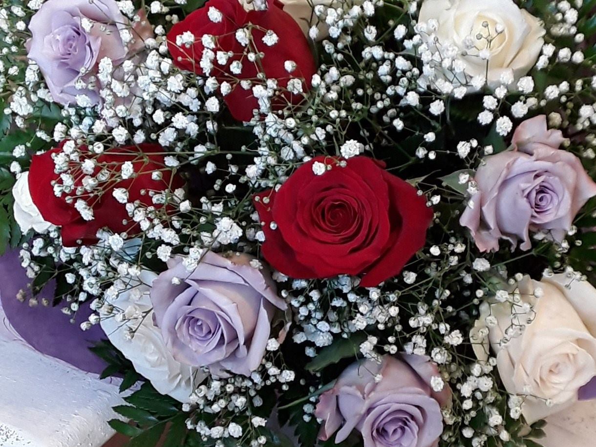 Momentos 12 Rosas Tallo corto 42€