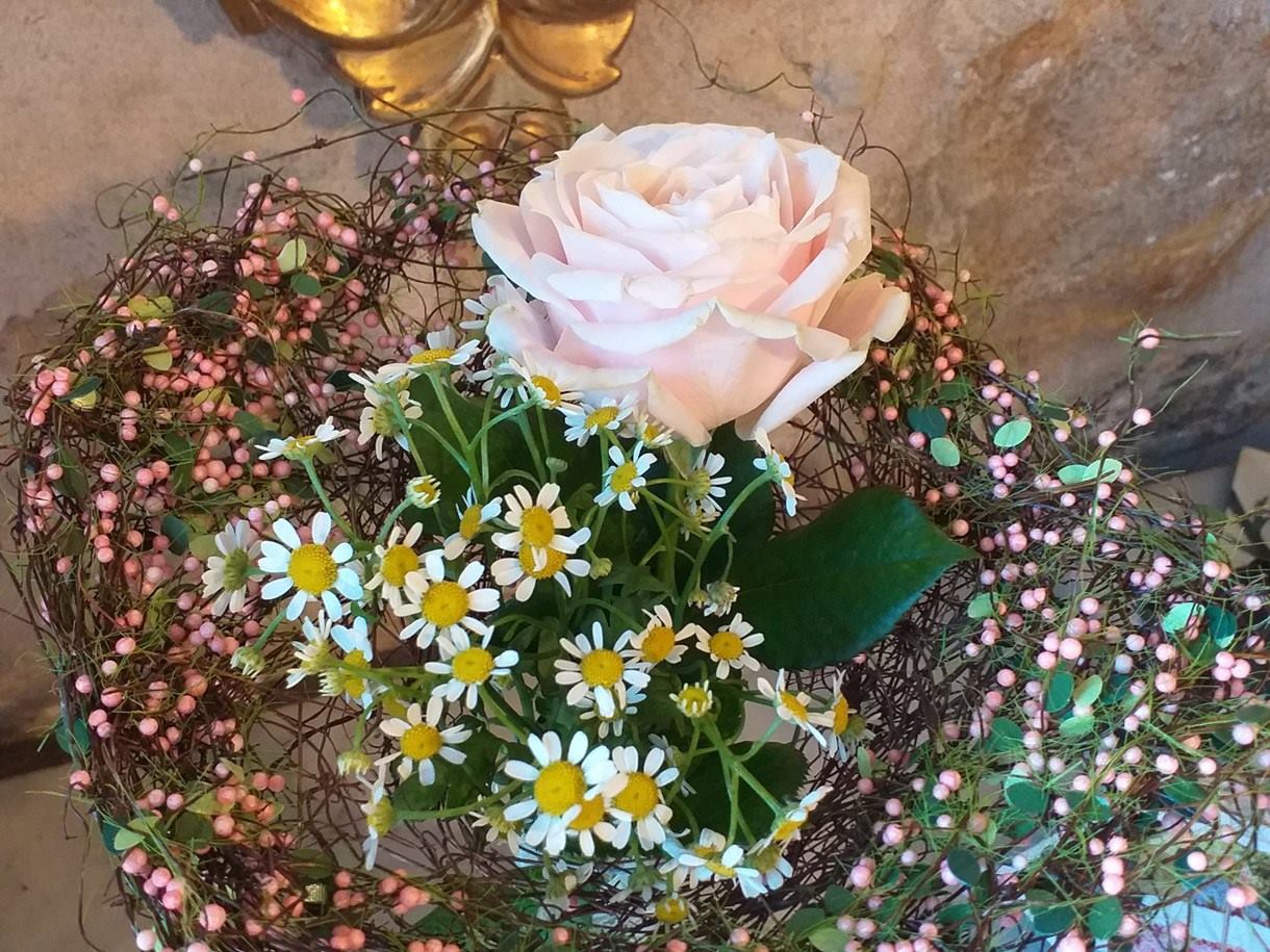 Nido 1 Rosa Blanca Tallo Largo con extructura 35€