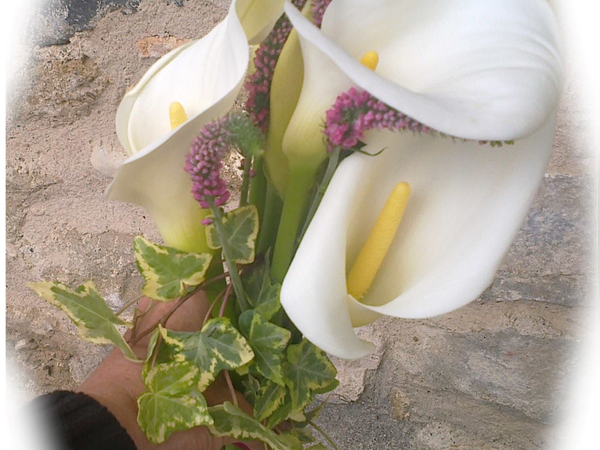 delicadeza Lirios Blancos 42€
