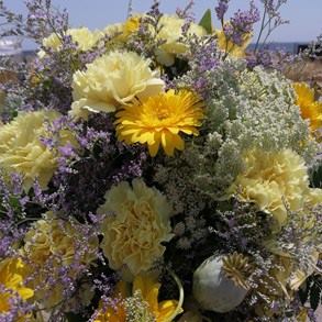 IMG_20210710_131345