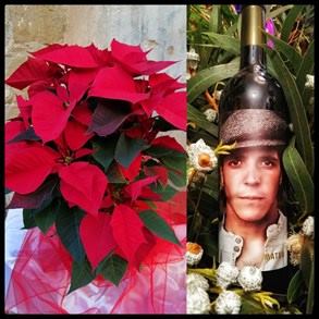 IMG_20201117_213319-01