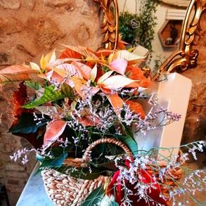 IMG_20201120_115632-01