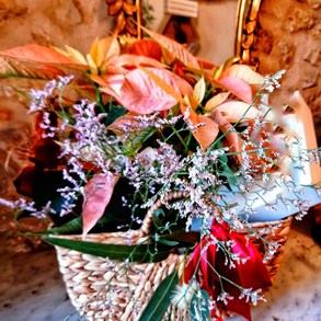 IMG_20201120_115802-01-01
