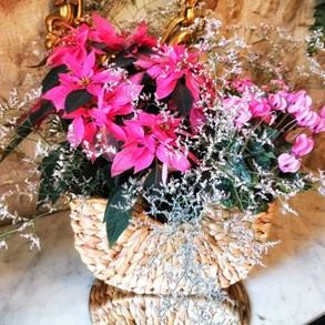 IMG_20201120_122323-01