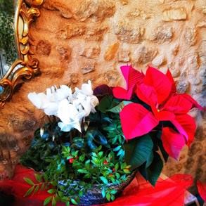 IMG_20201124_122808-01